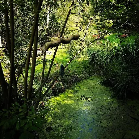 Domaine Les Nature ,private Wellness * Soultzeren