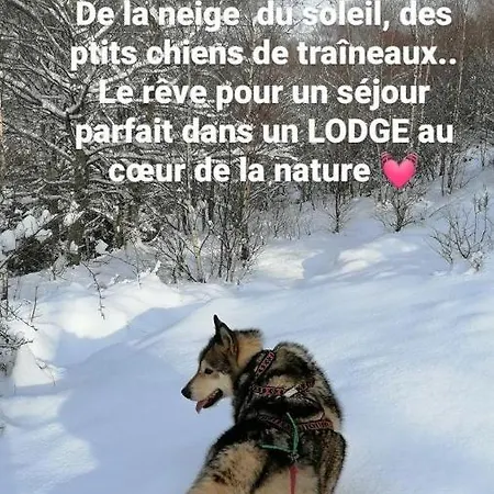 Domek alpejski Domaine Les Nature ,private Wellness Soultzeren