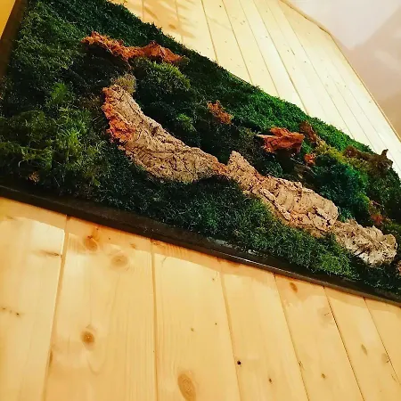 Bien-être Et Nature Chalet Soultzeren