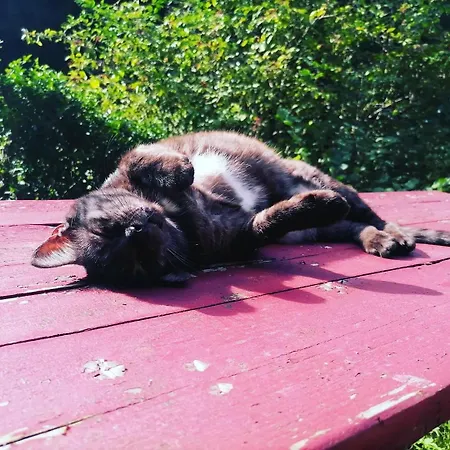 Alpesi faház Domaine Les Nature ,private Wellness *