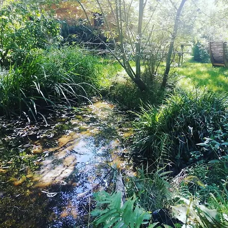 Chalet Domaine Les Nature ,private Wellness Soultzeren