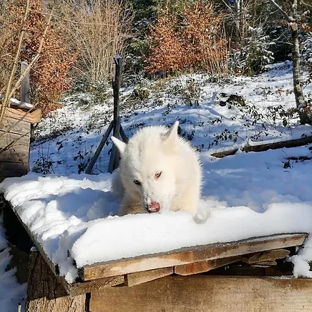 Chalet Domaine Les Nature ,private Wellness Soultzeren