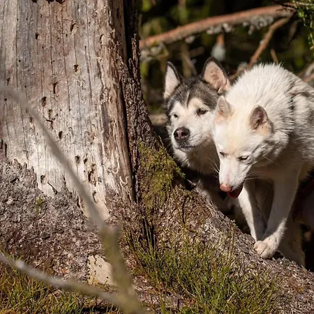 Domaine Les Nature ,private Wellness Soultzeren