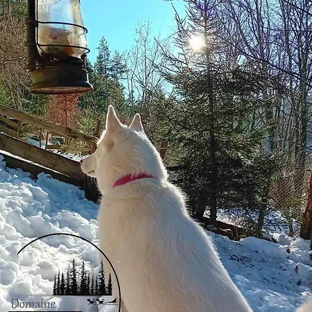 Domaine Les Nature ,private Wellness