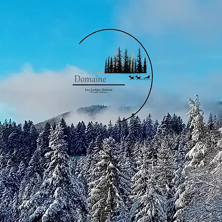 Domek alpejski Domaine Les Nature ,private Wellness