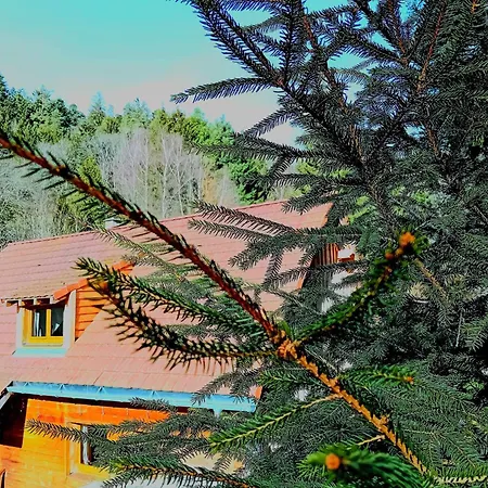 Chalet Domaine Les Nature ,private Wellness *