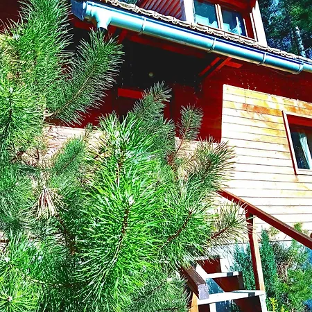 Domek alpejski Domaine Les Nature ,private Wellness Soultzeren