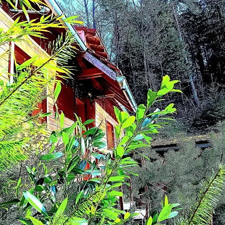 Domaine Les Nature ,private Wellness Soultzeren