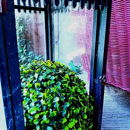 Domaine Les Nature ,private Wellness Chalet *