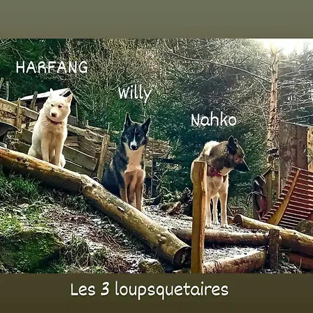 Domaine Les Nature ,private Wellness Domek alpejski Soultzeren