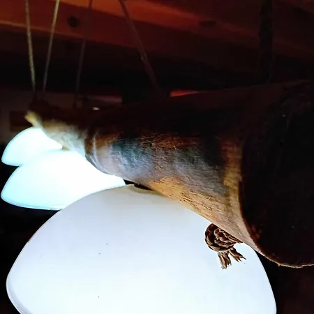 Domaine Les Nature ,private Wellness