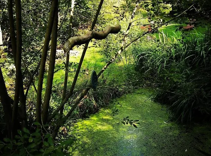 Domaine Les Nature ,private Wellness * Soultzeren