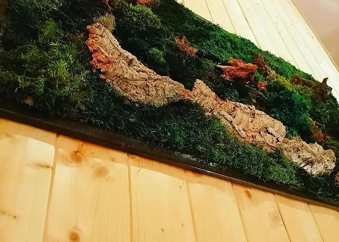 Domaine Les Nature ,private Wellness Chalet Soultzeren