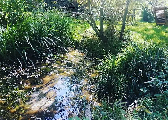 Chalet Domaine Les Nature ,private Wellness Soultzeren