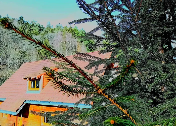 샬레 Domaine Les Nature ,private Wellness *
