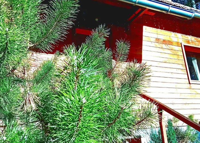 Chalet Domaine Les Nature ,private Wellness Soultzeren