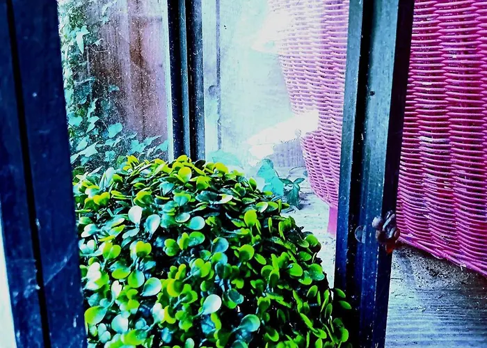 Domaine Les Nature ,private Wellness 샬레 *