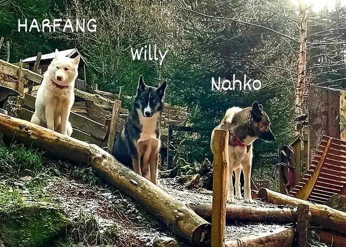 Domaine Les Nature ,private Wellness Chalet Soultzeren